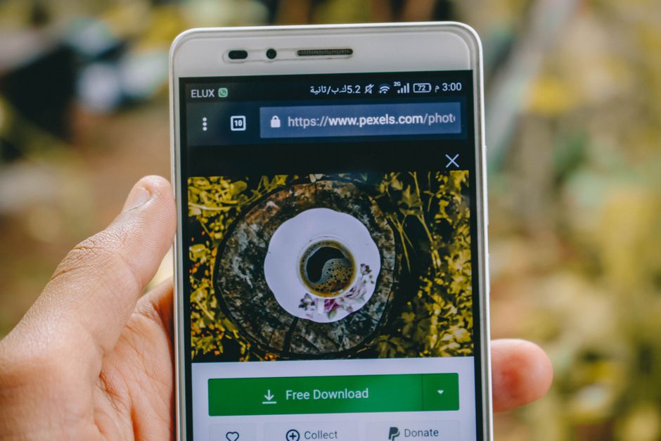 How to Download Images from Any URL Free (Even If You're Not a Tech Wizard)