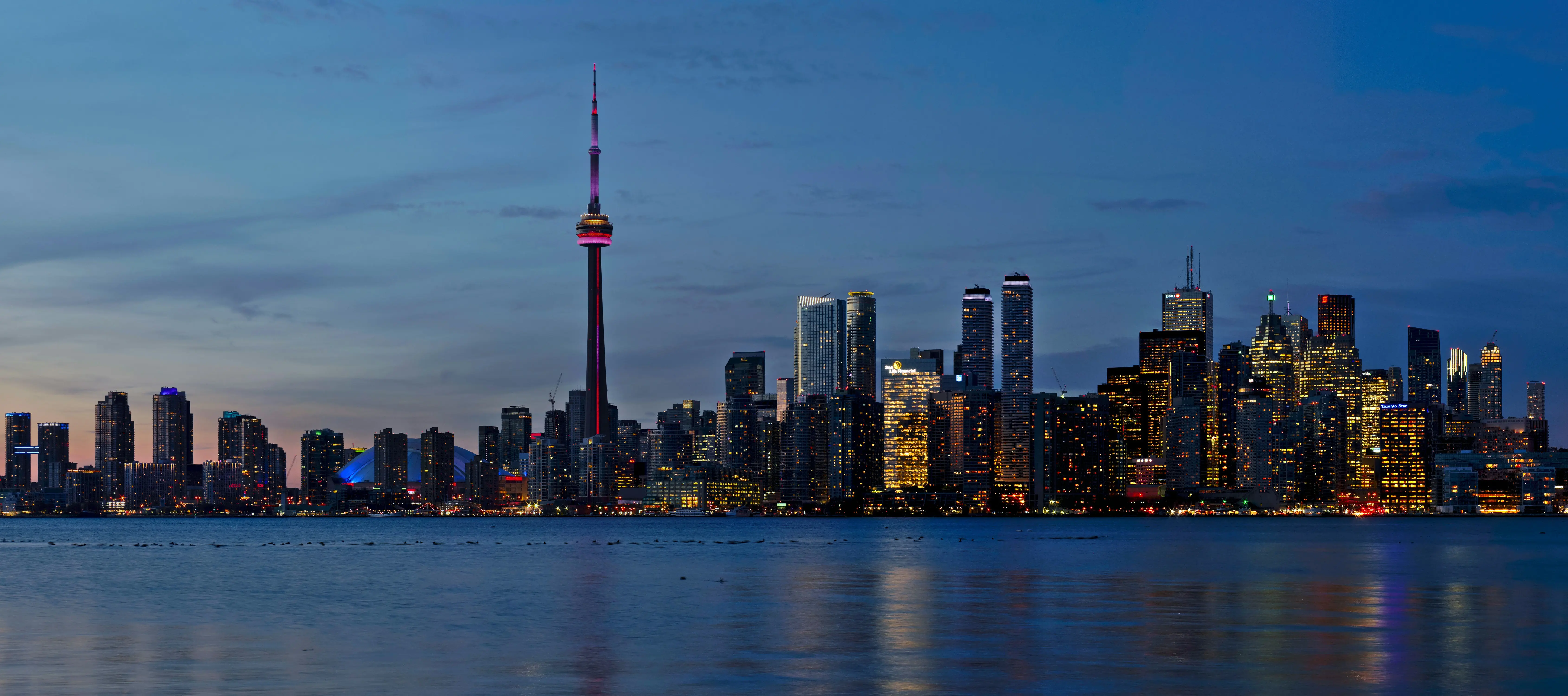 Toronto SEO Services